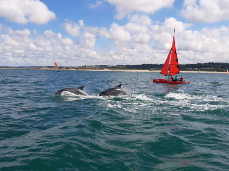 balade en bateau dans la Manche